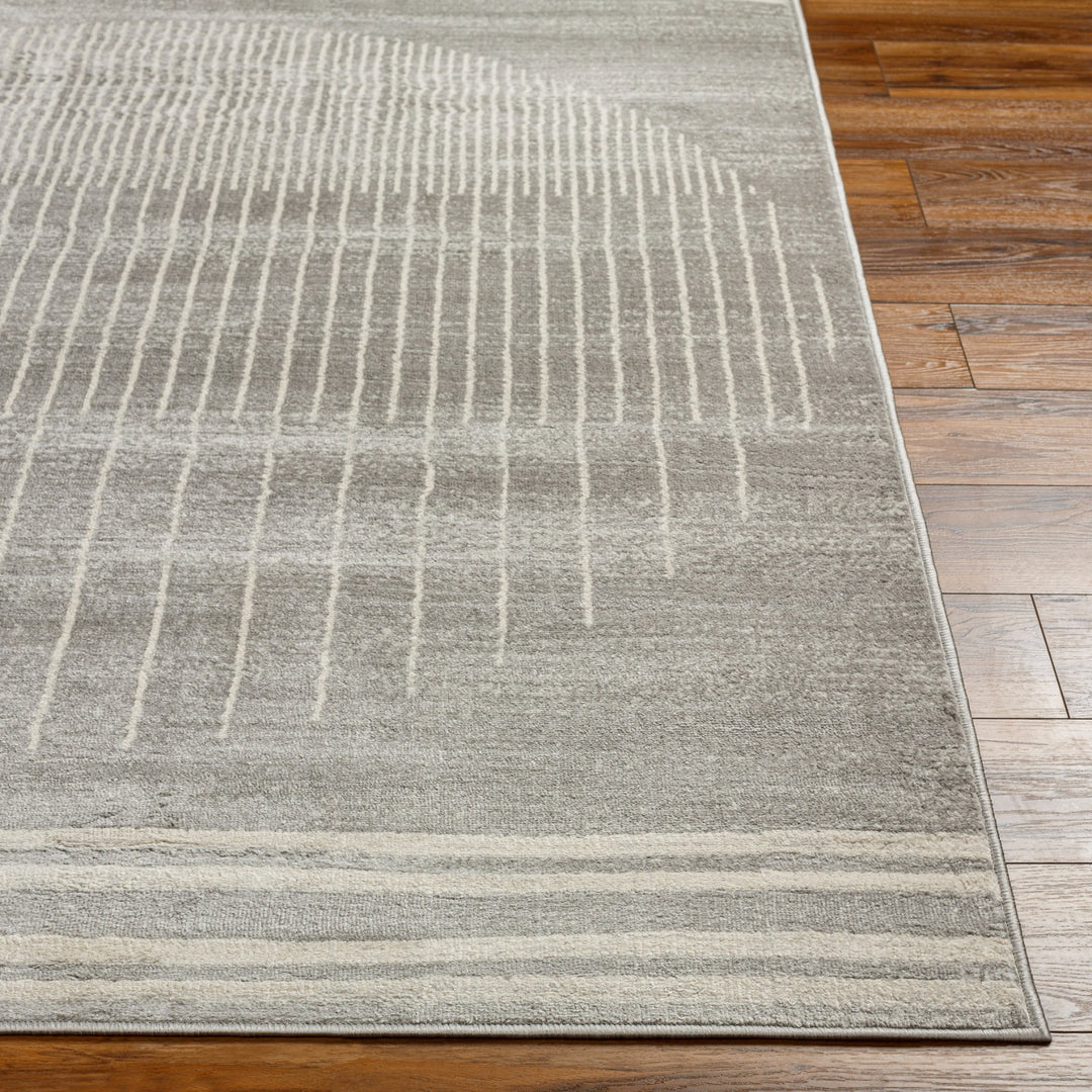 Tapis Scandinave Moderne Gris/Beige Santiago
