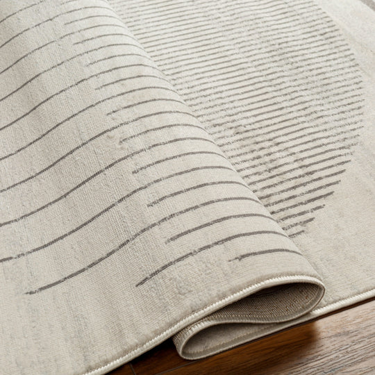 Tapis Scandinave Moderne Beige/Gris Santiago