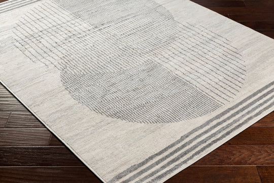 MONTEVIDEO Tapis Scandinave Moderne Beige/Gris 200x275