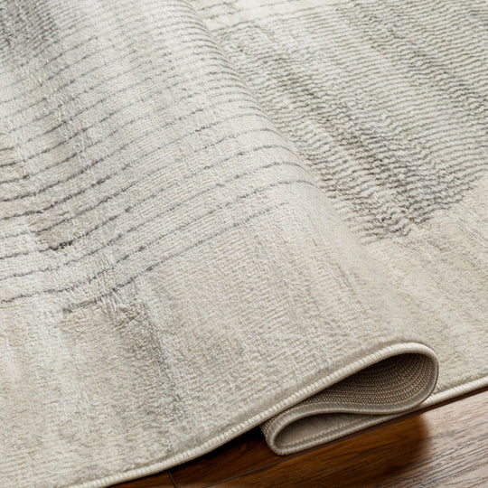 MONTEVIDEO Tapis Scandinave Moderne Beige/Gris 200x275