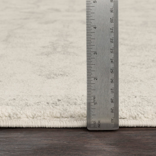 Tapis Vintage Oriental Gris/Beige Munich
