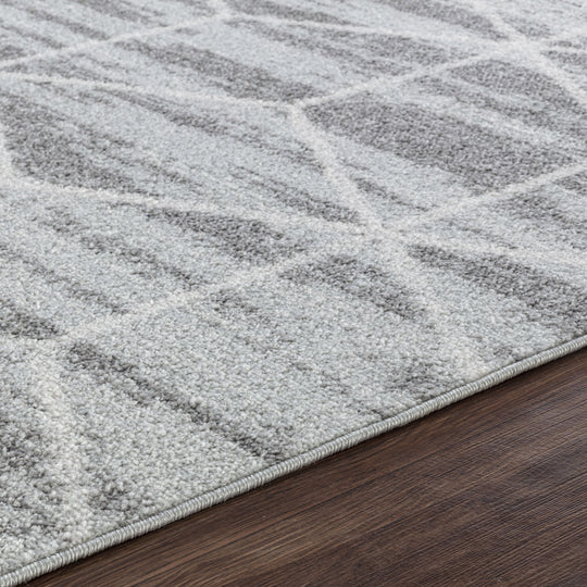 Tapis Scandinave Moderne Gris/Blanc Namur