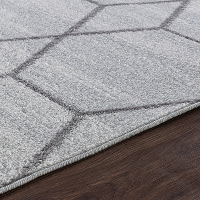 Tapis Scandinave Moderne Blanc/Gris Positano