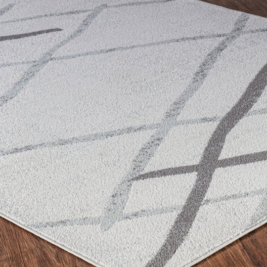 Tapis Scandinave Moderne Blanc/Gris Aspen