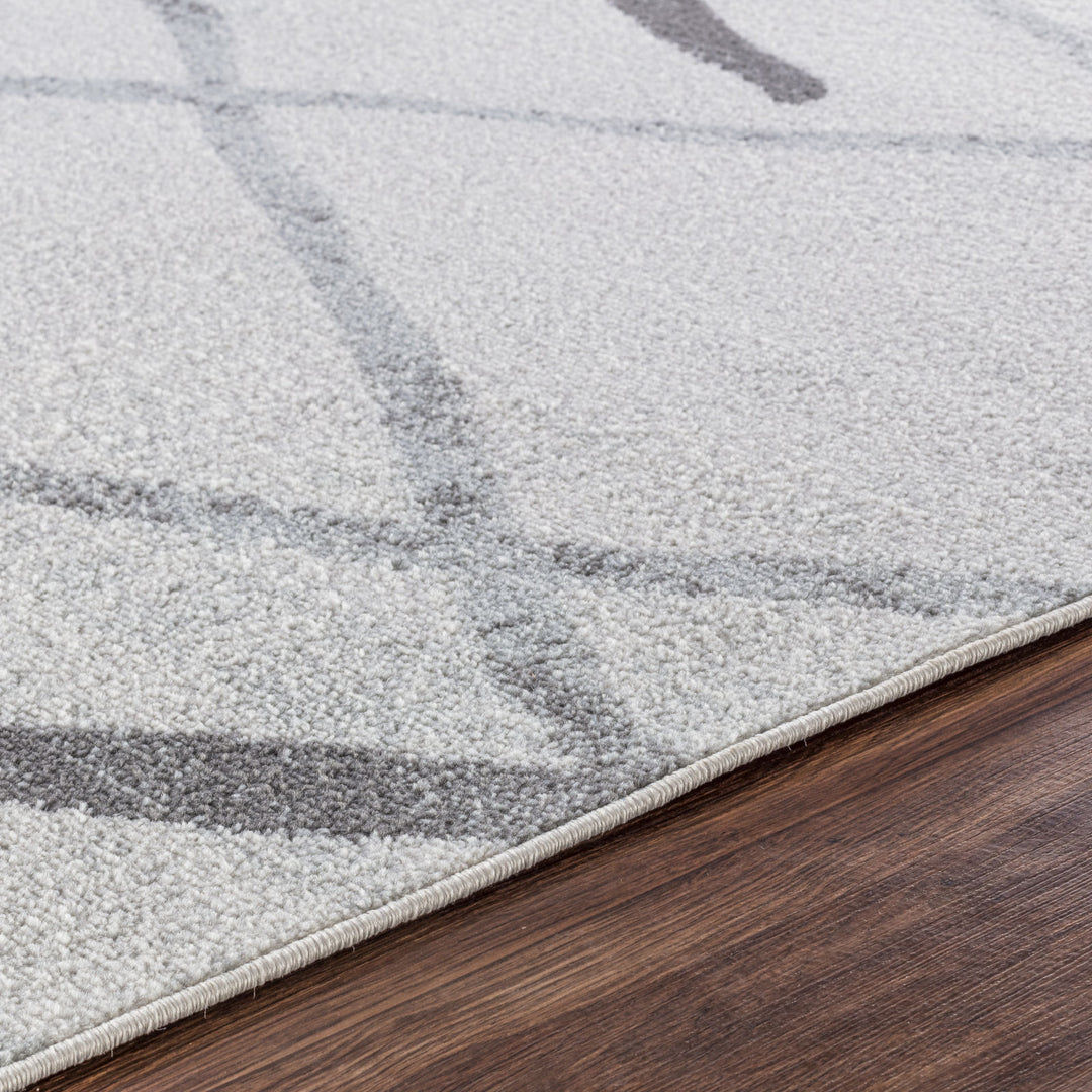 Tapis Scandinave Moderne Blanc/Gris Aspen
