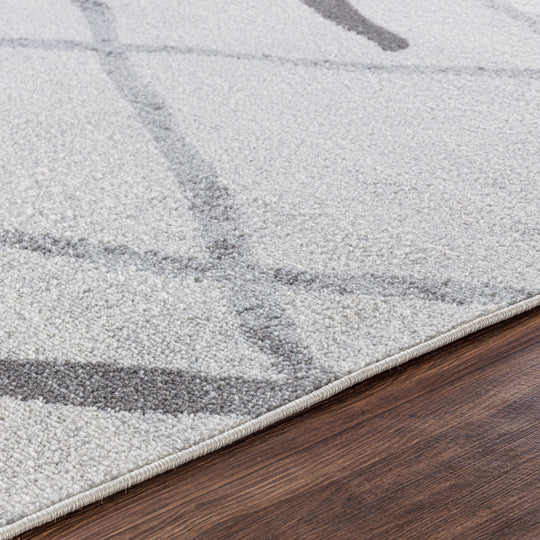 Tapis Scandinave Moderne Blanc/Gris Aspen