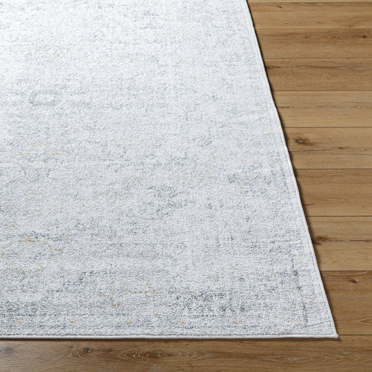 Tapis de Couloir Vintage Oriental Gris/Ambre Munich