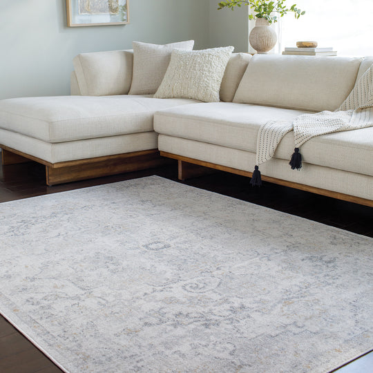 Tapis Vintage Oriental Gris/Ambre Munich