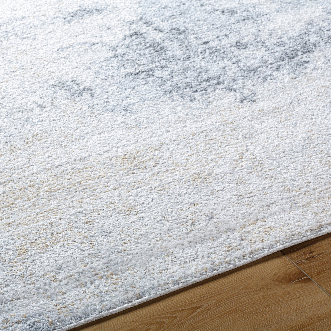 Tapis de Couloir Abstrait Moderne Gris/Beige Arica