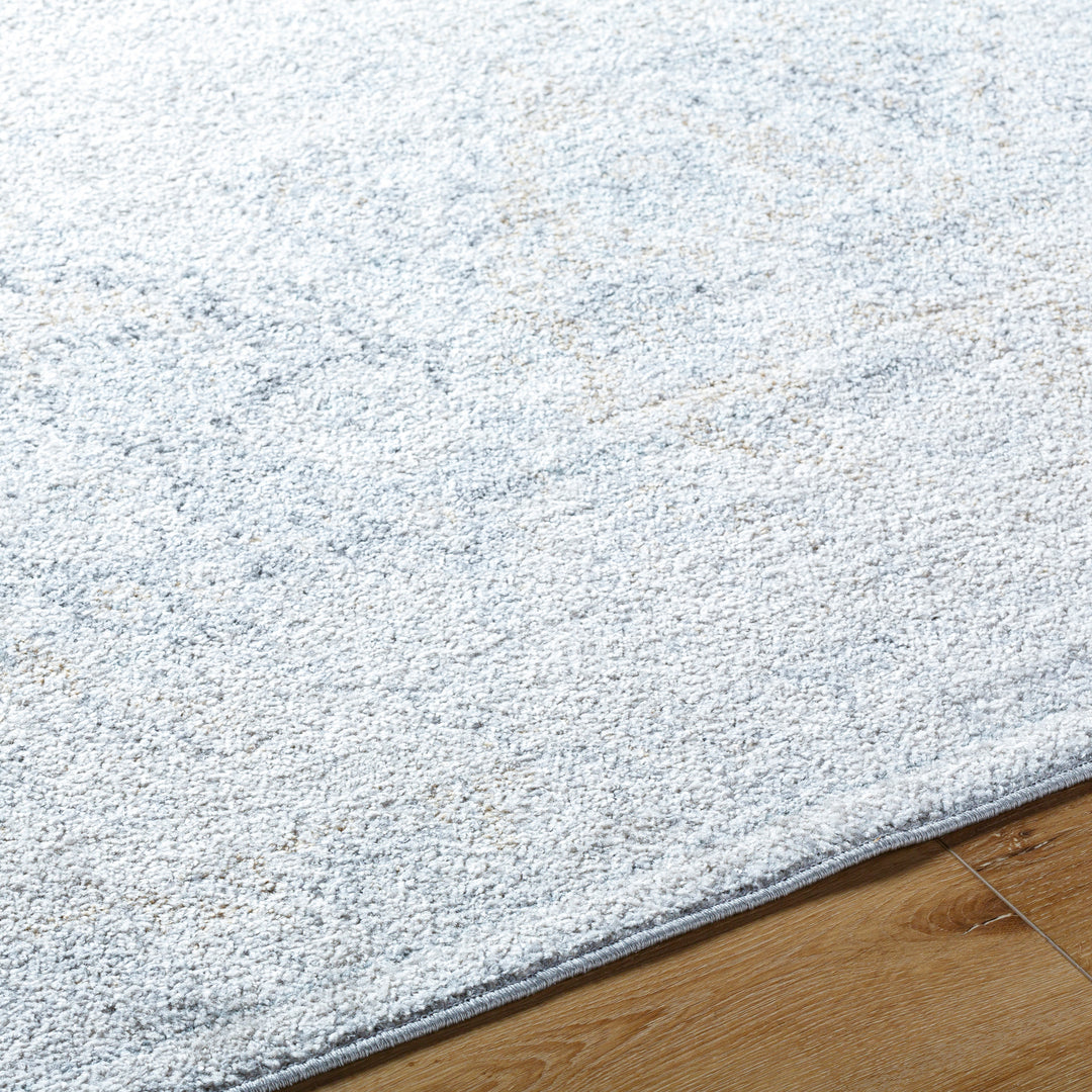 Tapis Vintage Oriental Gris/Bleu Cuzco