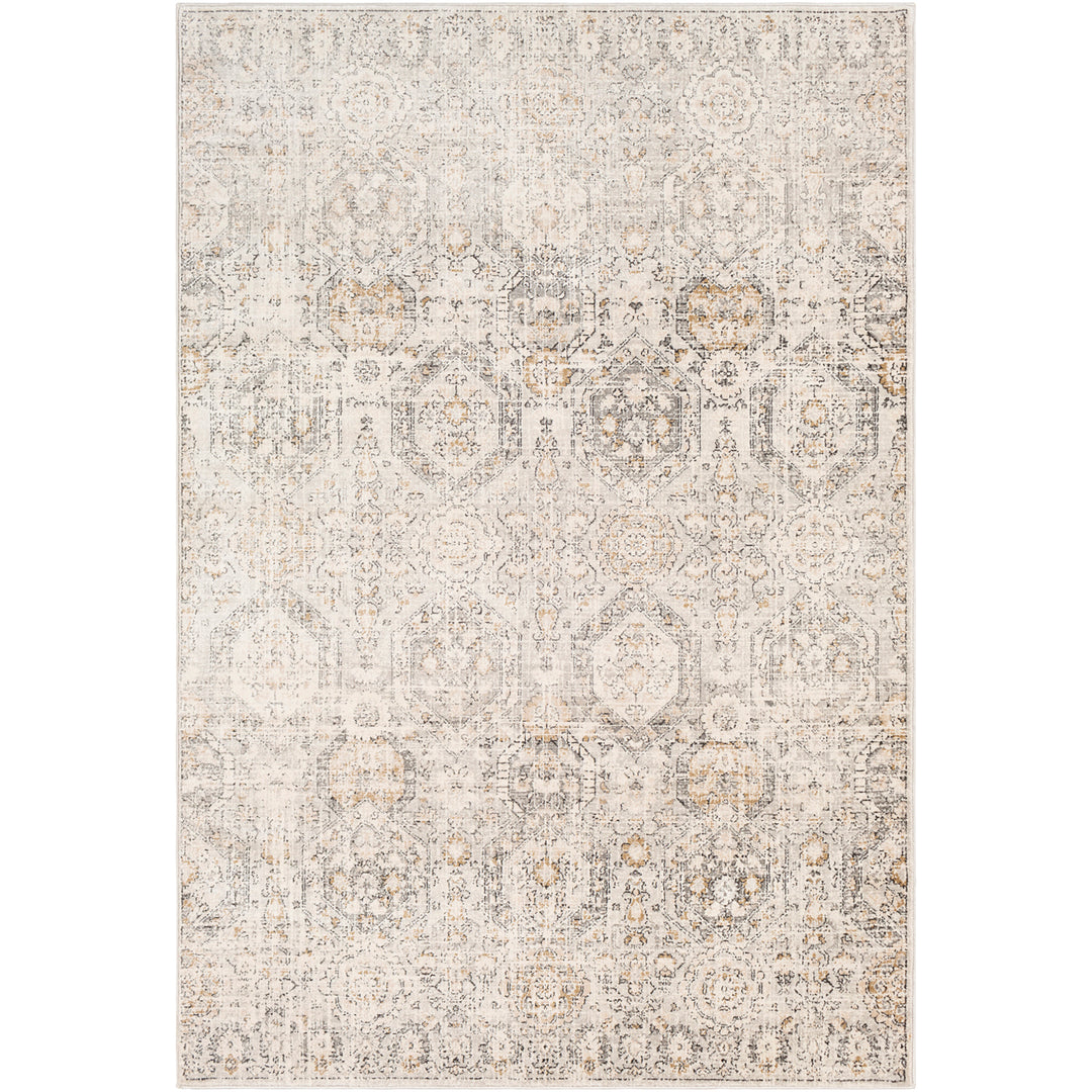 Tapis Vintage Oriental Gris/Beige Sohag
