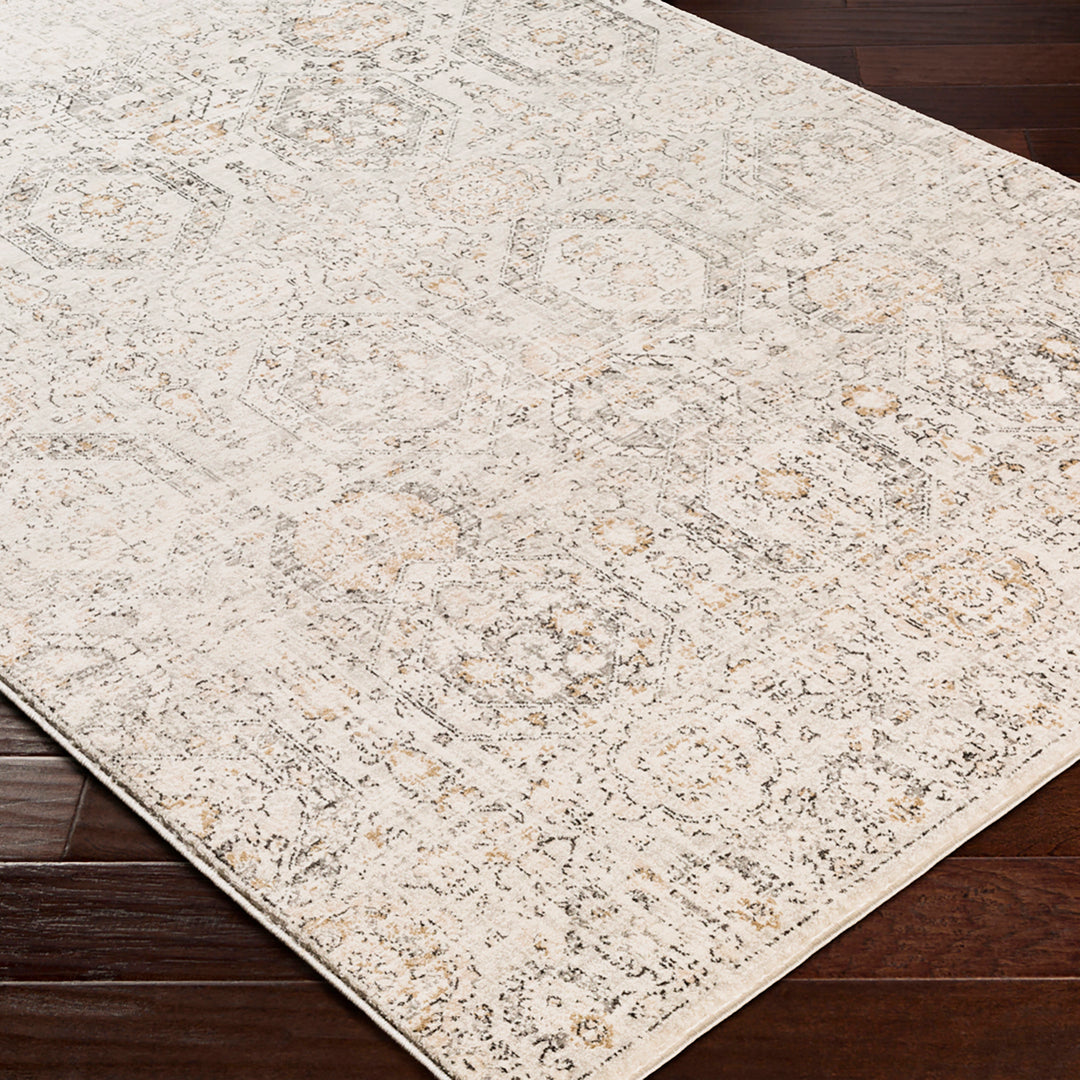 Tapis Vintage Oriental Gris/Beige Sohag