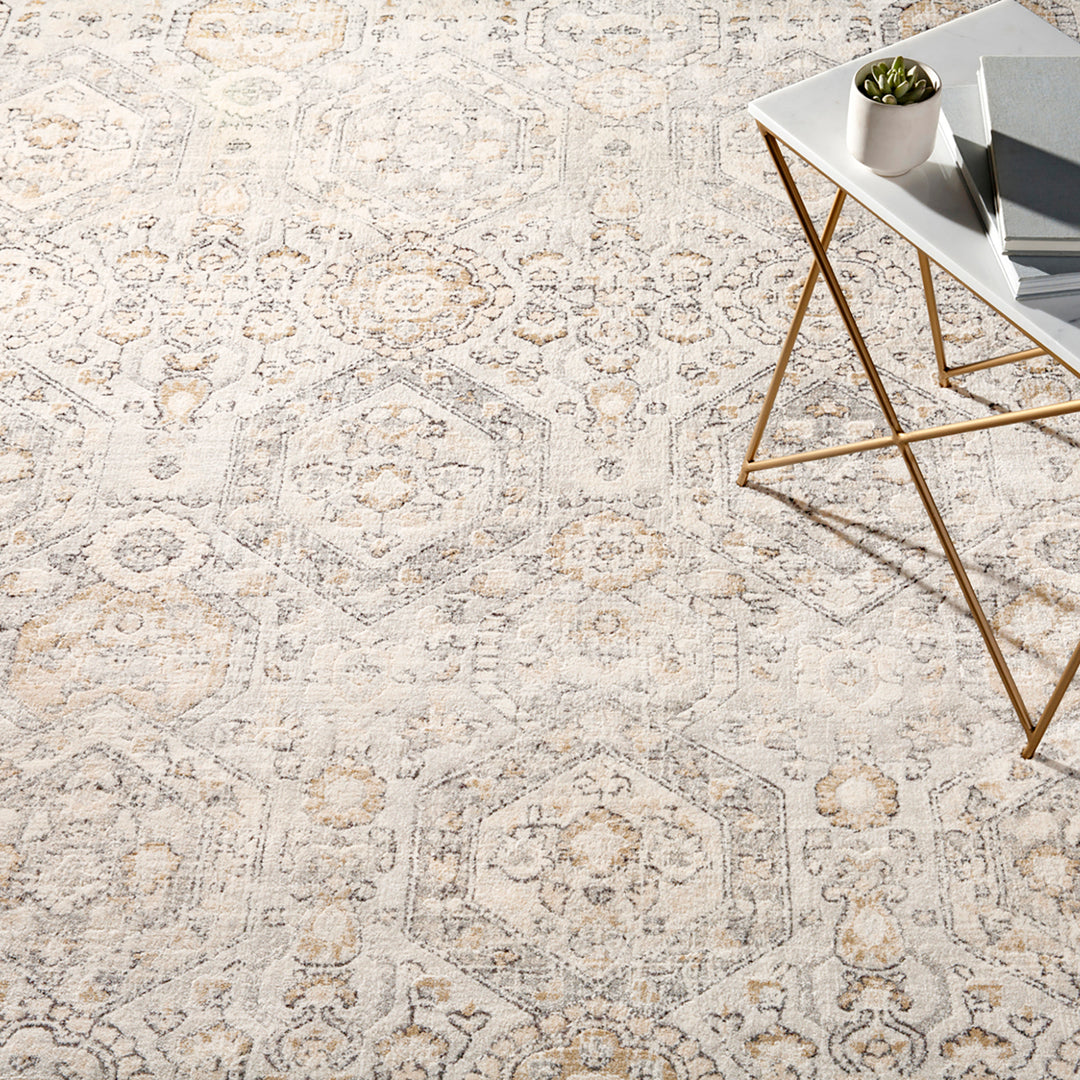 Tapis Vintage Oriental Gris/Beige Sohag