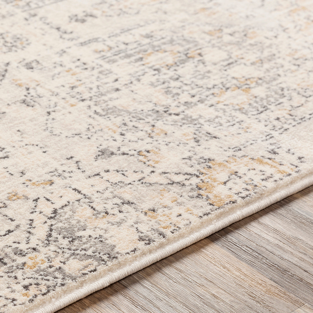 Tapis Vintage Oriental Gris/Beige Sohag