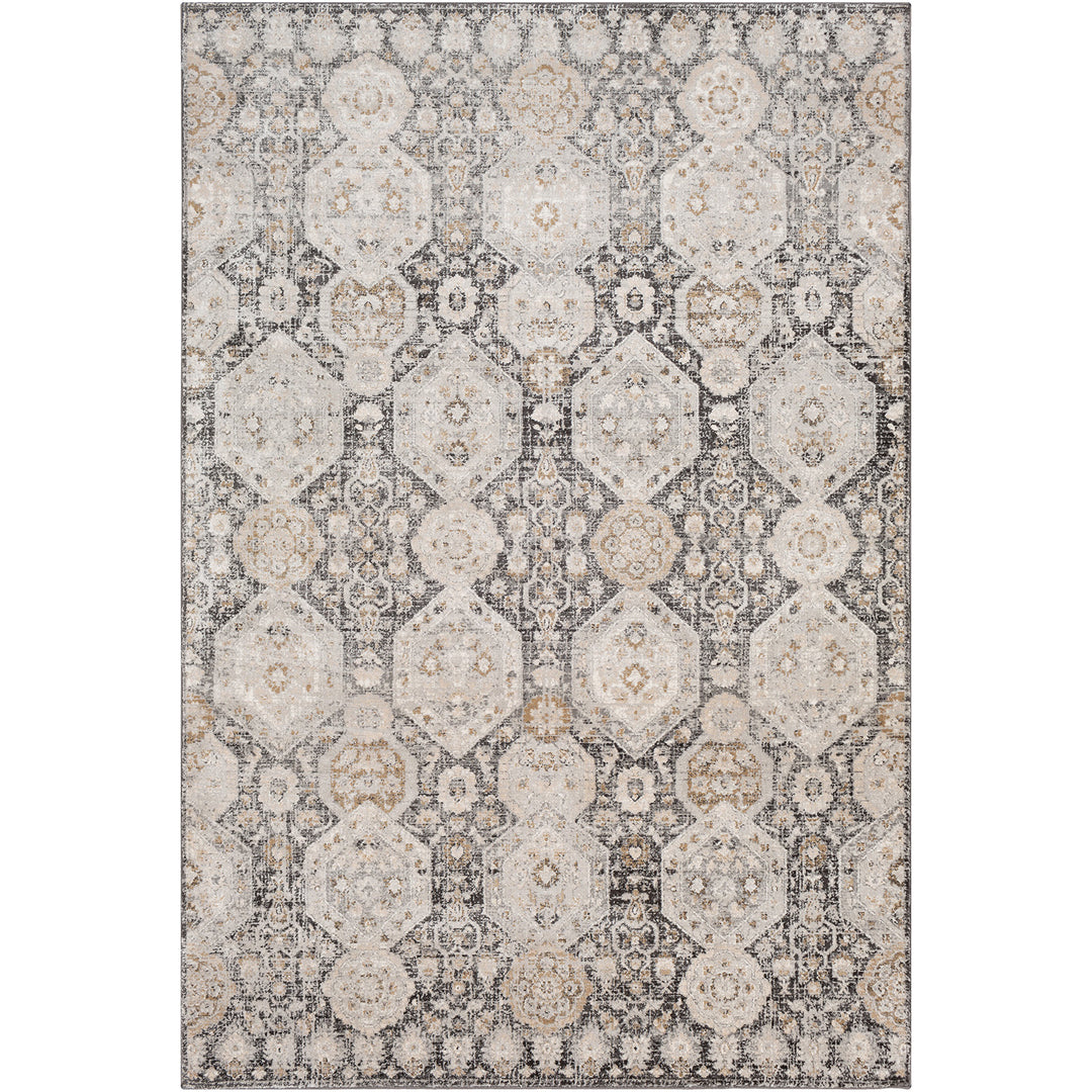 Tapis Vintage Oriental Noir/Beige Sokol