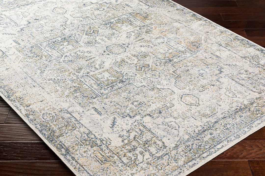 Tapis Vintage Lavable en Machine Gris/Bleu Onan