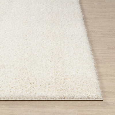 Tapis Shaggy Moderne Crème Dadu