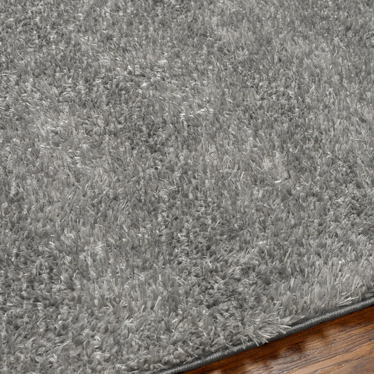 Tapis Shaggy Moderne Gris Foncé Dadu