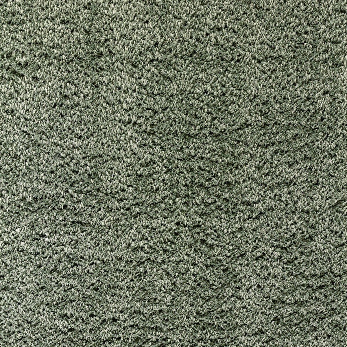 Tapis Shaggy Moderne Vert Dadu