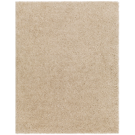 Tapis Shaggy Moderne Beige Dadu