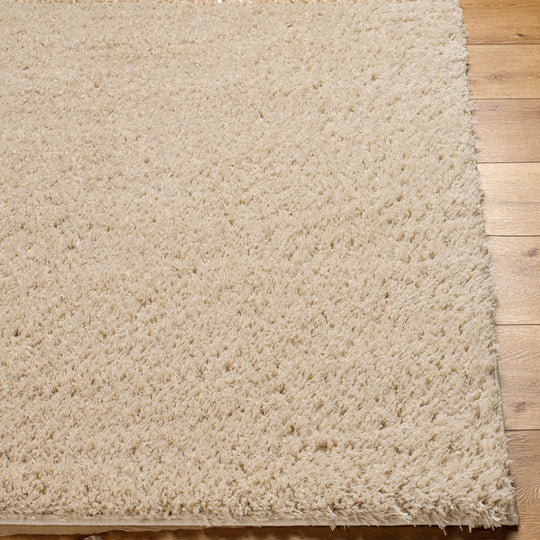 Tapis Shaggy Moderne Beige Dadu