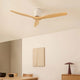 Ventilateur de plafond CREATE silencieux 40W avec pales techniques en ABS