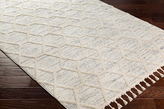 Tapis Scandinave Zaandam Bohème Ivoire/Gris