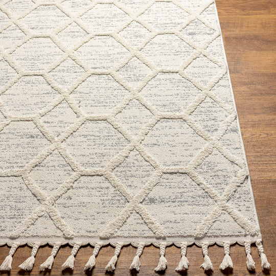 Tapis Scandinave Zaandam Bohème Ivoire/Gris