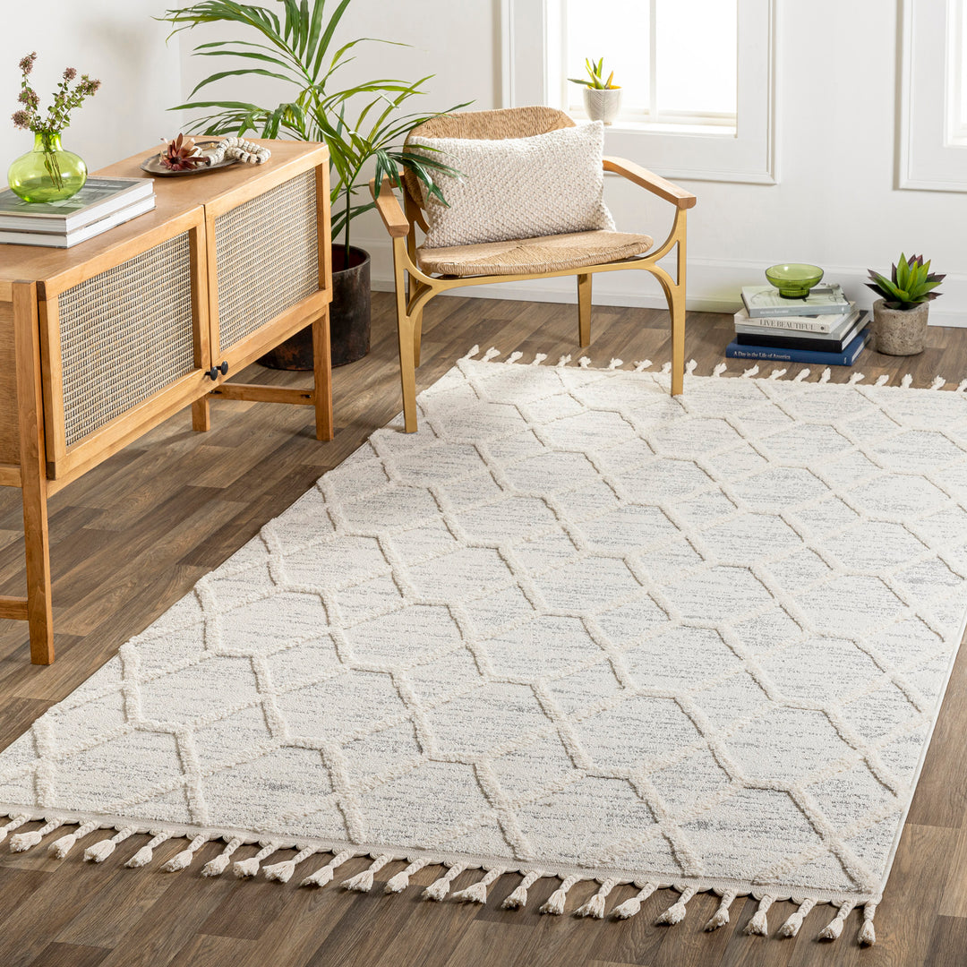 Tapis Scandinave Zaandam Bohème Ivoire/Gris