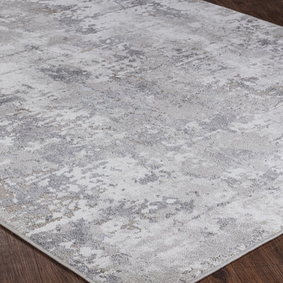 Tapis Abstrait Moderne Blanc/Gris Ceren