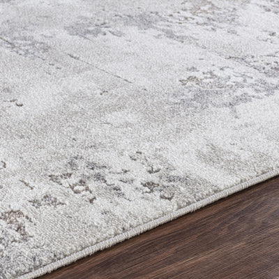 Tapis Abstrait Moderne Blanc/Gris Ceren