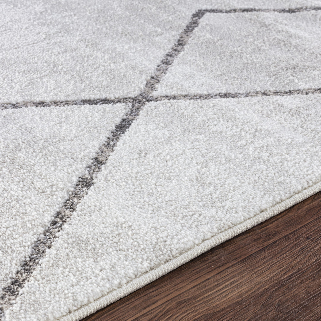 Tapis Scandinave Moderne Blanc/Gris Nagano