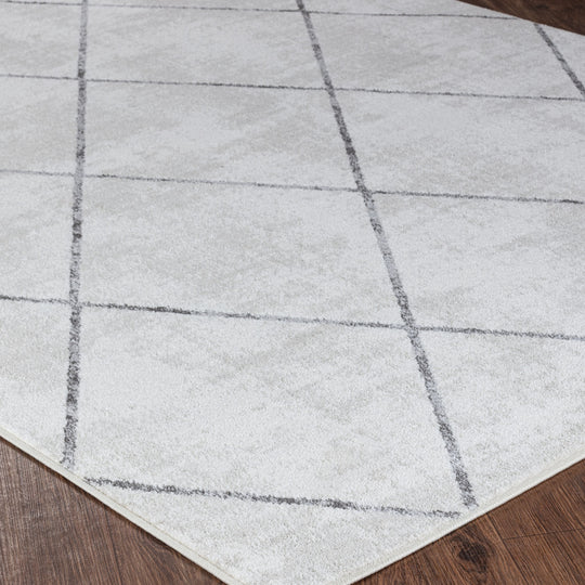 Tapis Scandinave Moderne Blanc/Gris Bogota