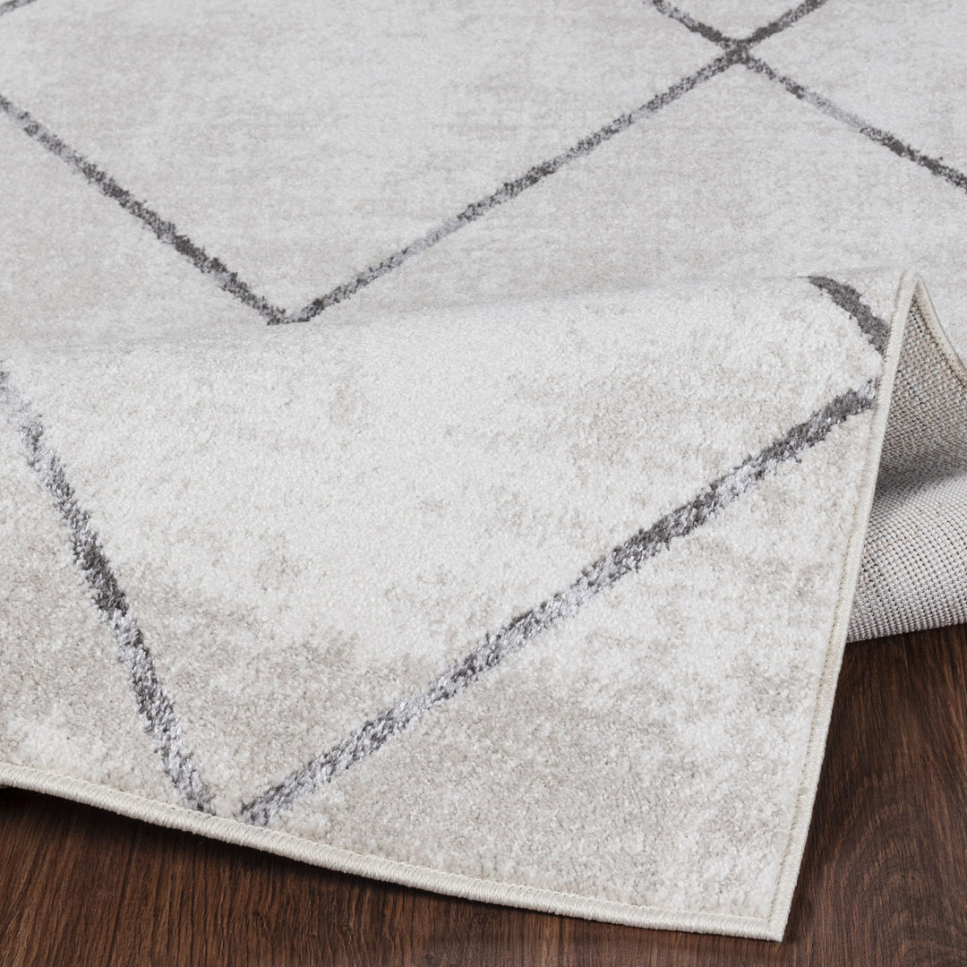 Tapis Scandinave Moderne Blanc/Gris Bogota