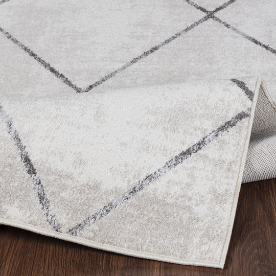 Tapis Scandinave Moderne Blanc/Gris Bogota