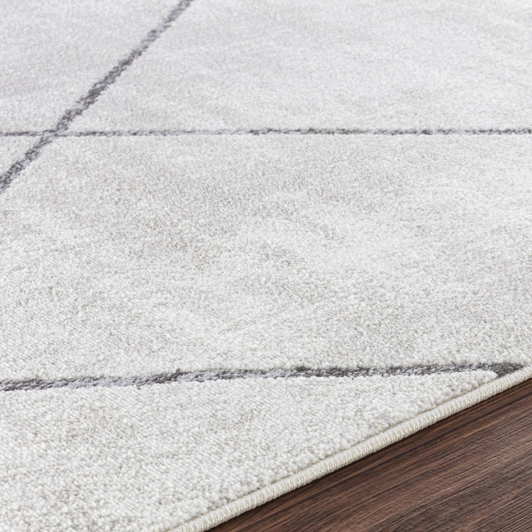 Tapis Scandinave Moderne Blanc/Gris Bogota