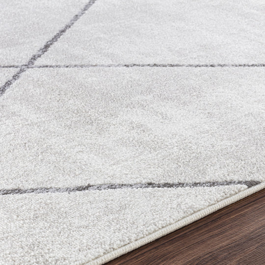Tapis Scandinave Moderne Blanc/Gris Bogota