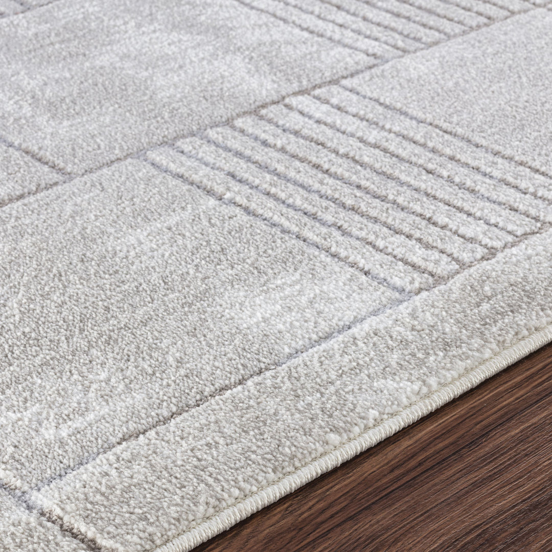 Tapis Scandinave Moderne Gris/Blanc Guri