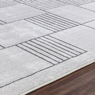 Tapis Scandinave Moderne Gris Guri