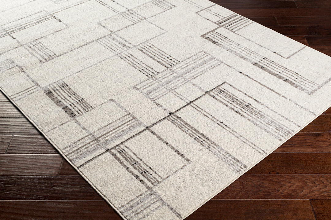 Tapis Scandinave Moderne Blanc/Gris Holland