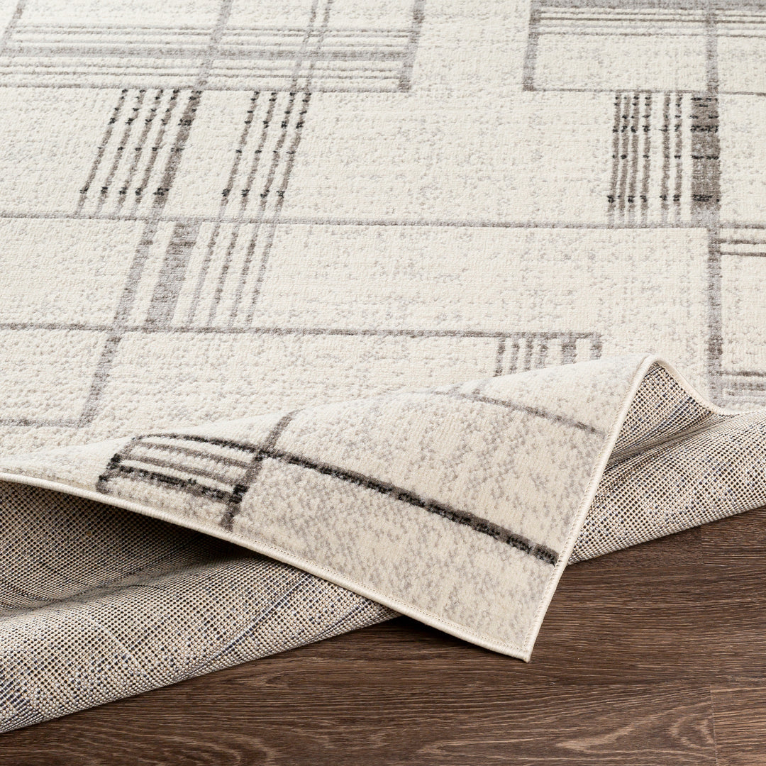Tapis Scandinave Moderne Blanc/Gris Holland