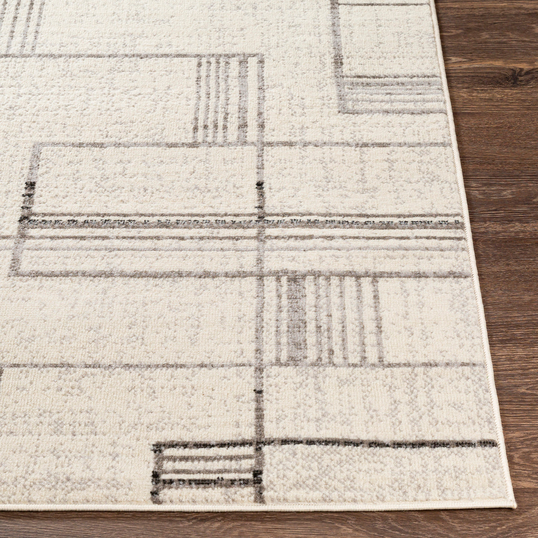 Tapis Scandinave Moderne Blanc/Gris Holland