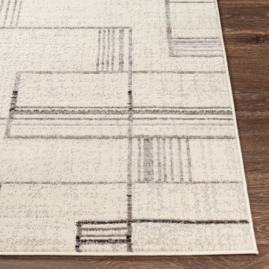 Tapis Scandinave Moderne Blanc/Gris Holland