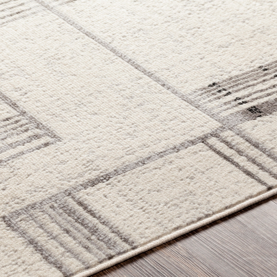 Tapis Scandinave Moderne Blanc/Gris Holland