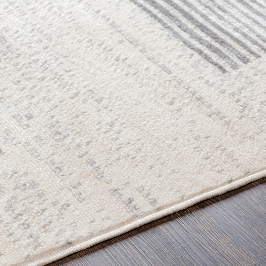 Tapis Scandinave Moderne Blanc/Gris Jimo
