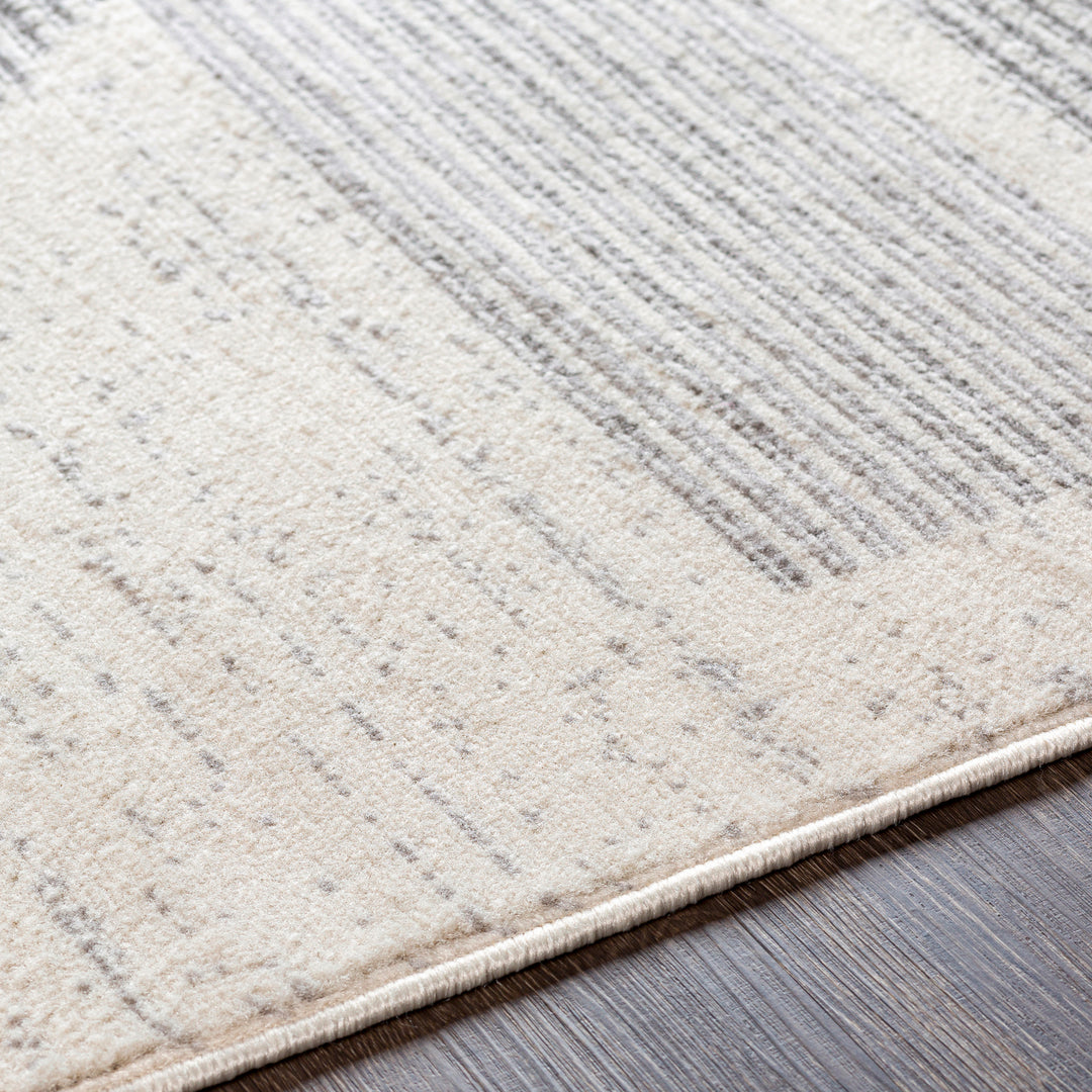 Tapis Scandinave Moderne Blanc/Gris Juno