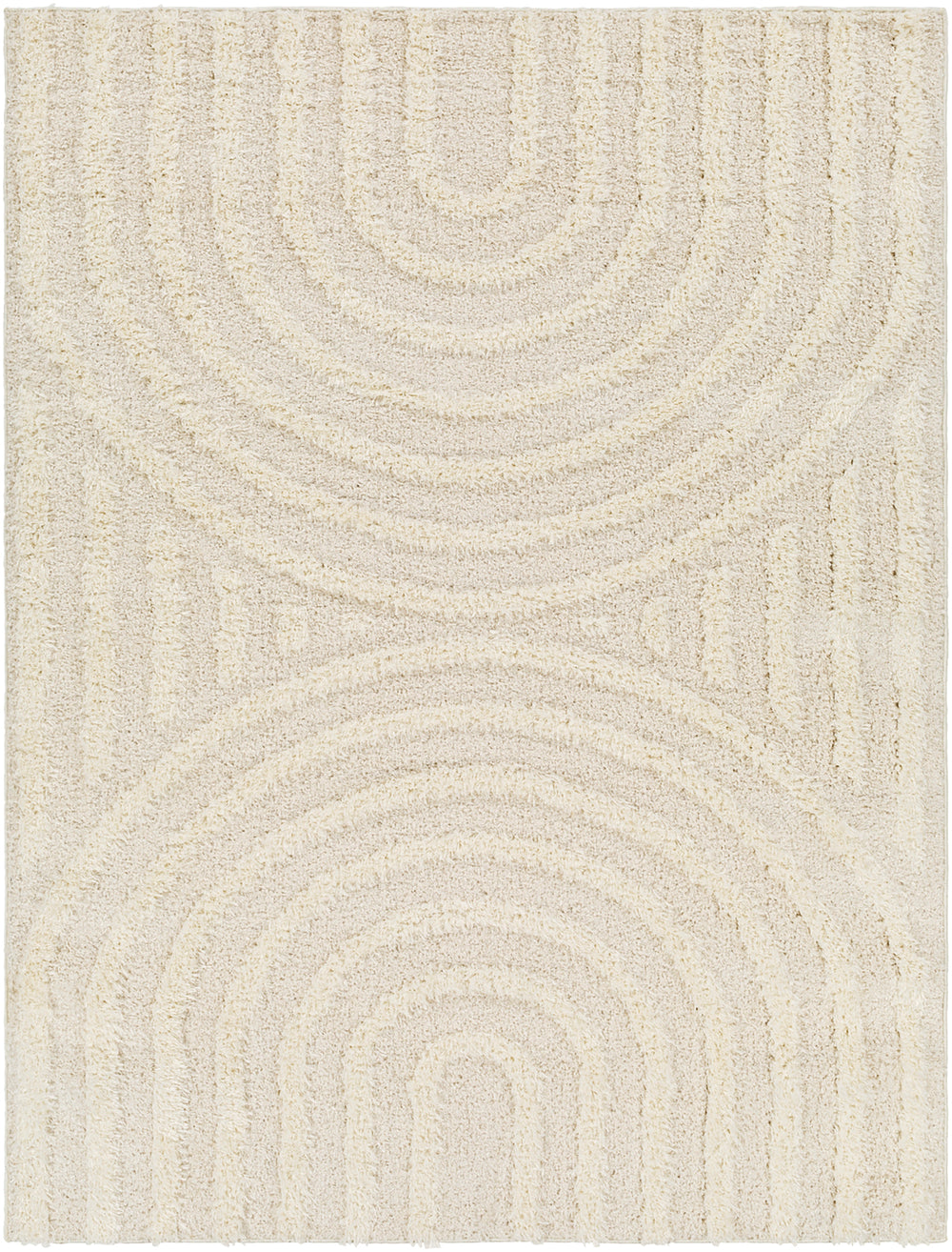 Tapis Shaggy Moderne Beige/Blanc