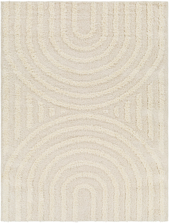 Tapis Shaggy Moderne Beige/Blanc