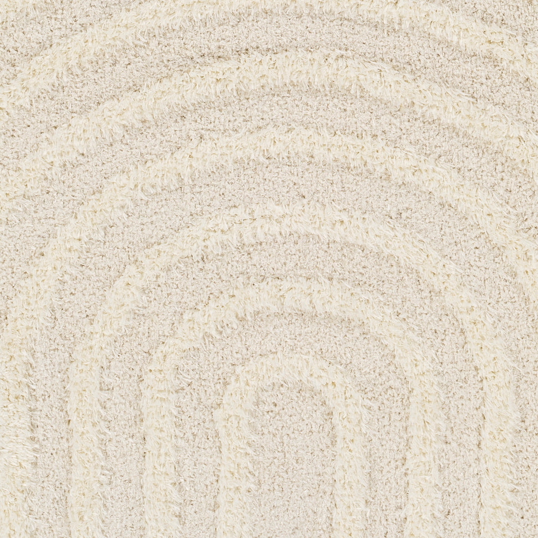 Tapis Shaggy Moderne Beige/Blanc