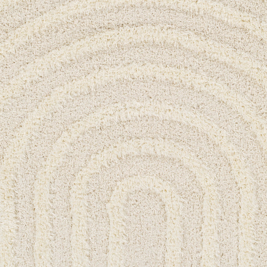 Tapis Shaggy Moderne Beige/Blanc